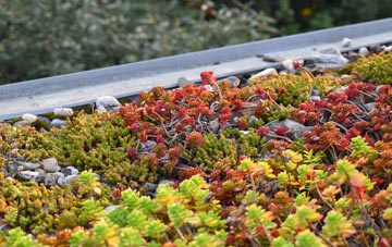 the cost of Orton Southgate green roof installation