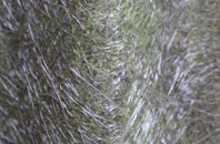 Orton Southgate fibreglass roof work